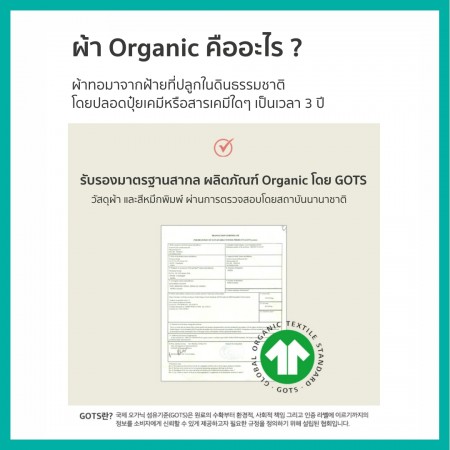 Lieto ผ้ารองฉี่เด็ก ผ้ารองที่นอนเด็กแบบกันลื่น Organic bamboo 100% ลาย หมี(Little bear)
